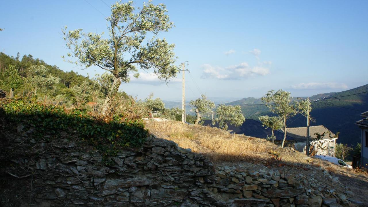 Villa "Casa Do Avo Armindo" Mountain Experience Vila Real Esterno foto
